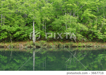 景點 風景名勝 池塘 3667718