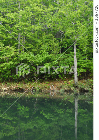 池塘 鹹水湖 景點 3667720