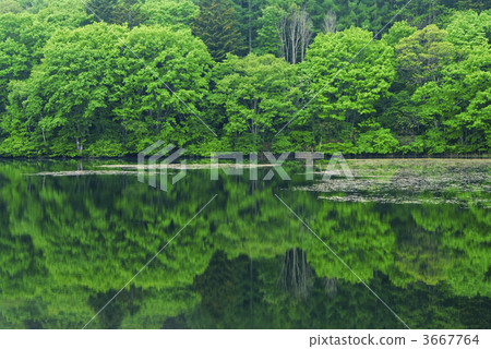 pond, lagoon, kagami-ike pond 3667764