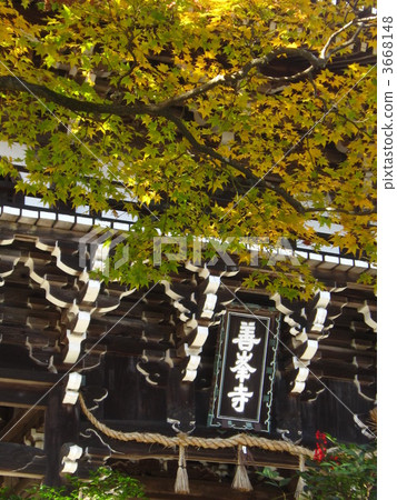 永林和川 寺院和神廟 楓樹 3668148