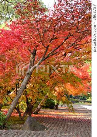 Old Hosokawa Imperial House Old Hosokawa Imperial House 3668787