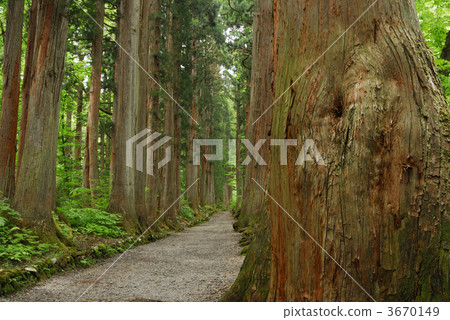 nagano city, power spot, togakushi 3670149