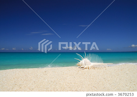 南國 南方島嶼 南方 3670253