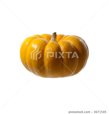 Taste of autumn. pumpkin. Taste of autumn. pumpkin. 3671585