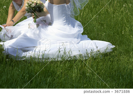 tender wedding day 3671886