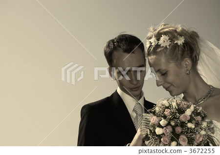 true love 3672255