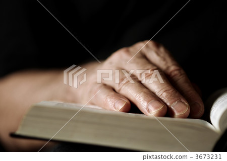 reading reading 3673231