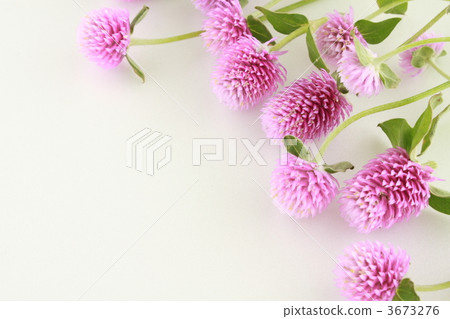 戰國框架 戰國框架 3673276