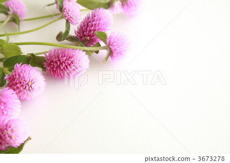 戰國框架 3673278