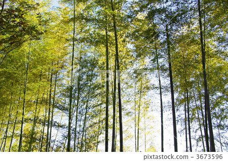 11月摩梭核桃和草家10 3673596