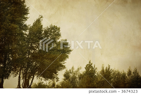 vintage landscape vintage landscape 3674323