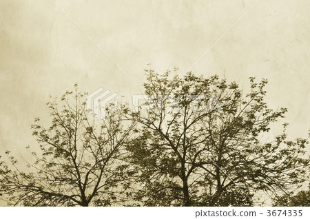 tree tree 3674335
