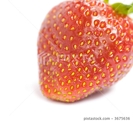 strawberry 3675636