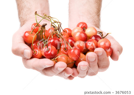 fresh cherry fresh cherry 3676053