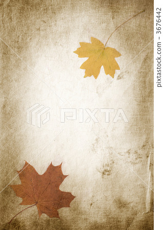 vintage texture vintage texture 3676442