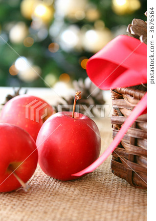 聖誕公主蘋果 3676564