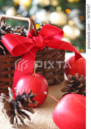 聖誕公主蘋果 3676567