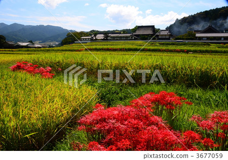 Takashiji和Higanbana Takashiji和Higanbana 3677059