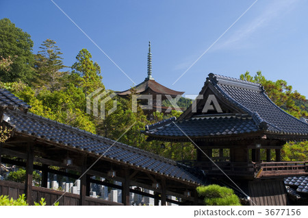 Rurikoji寺五層塔 Rurikoji寺五層塔 3677156