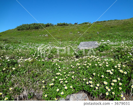 Northern Alps, Yakushi-dake 3679031
