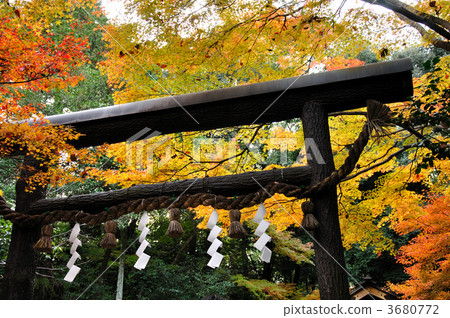 野宮神社 野宮神社 3680772