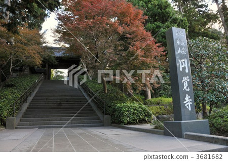 Shogun temple gate 3681682