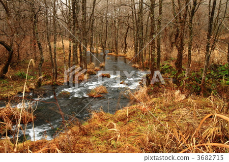 Nagasegawa Nagasegawa 3682715