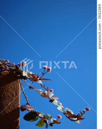 Porigonamu！ 3682869