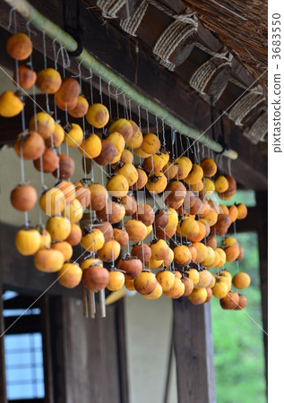 A persimmon A persimmon 3683550