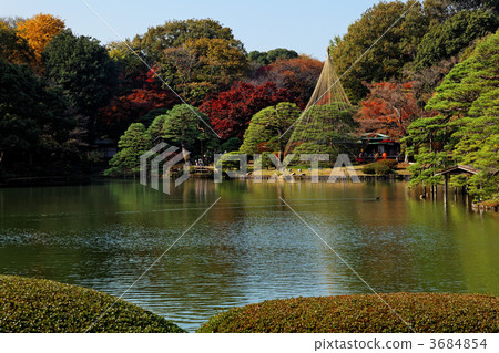 Rikugien's autumn leaves and the scenery that shines on the surface of the lake Rikugien's autumn leaves and the scenery that shines on the surface of the lake 3684854