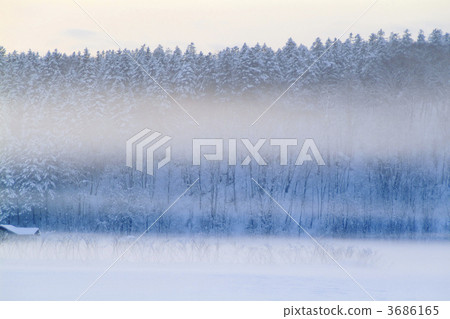 Fog landscape Fog landscape 3686165