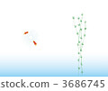 Background Summer Goldfish 3686745