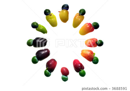 Color circle of tree nut · Inumaki Color circle of tree nut · Inumaki 3688591