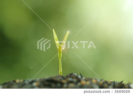 Stretching power 3689089