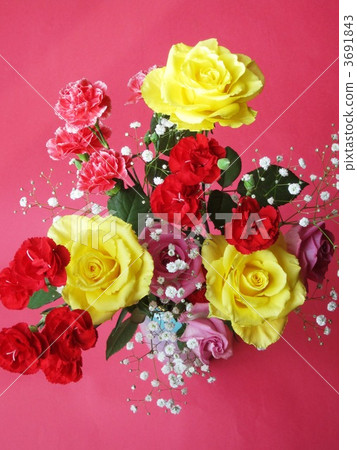 康乃馨 花束 玫瑰花 3691843