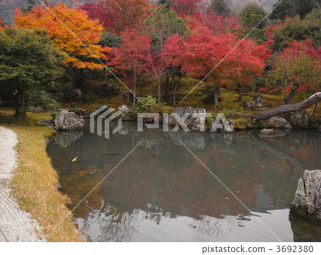 Tenryuji Sauce Pond Tenryuji Sauce Pond 3692380