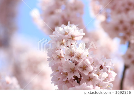 lifting, event, blue sky background 3692556