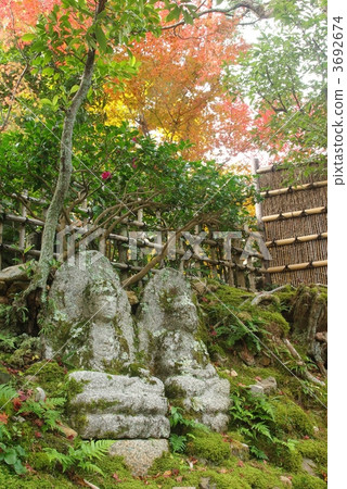 Fall Ninn Buddha Temple in the fall Fall Ninn Buddha Temple in the fall 3692674