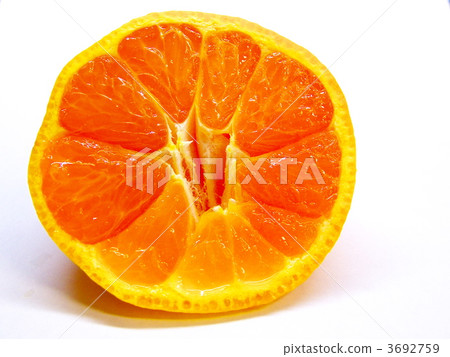 新鮮普通話 新鮮普通話 3692759