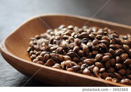 6 row barley for barley tea 3692868
