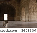 agra fort, monkey, monkeys 3693306