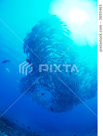 army, large group of objects, horde 3693465