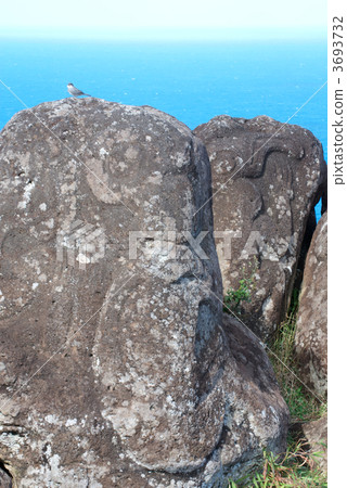 世界遺產拉帕努伊國家公園海奧洛戈和海鳥的岩畫。復活節島，智利。拍攝於2010年7月 3693732