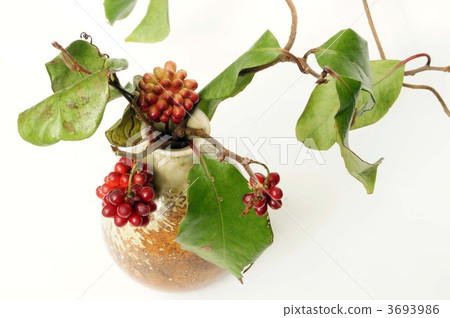 紅色水果 紅色水果 3693986