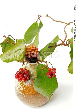 紅色水果 紅色水果 3693989