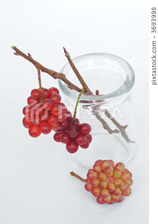 Red fruit Red fruit 3693998