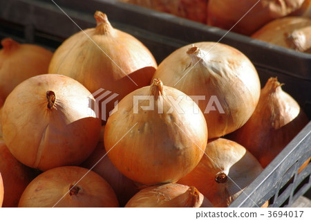 Preservation of onion onion 3694017
