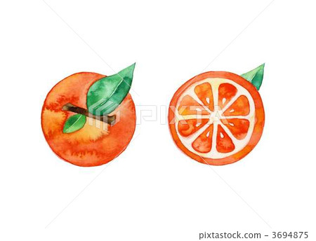 Orange Orange 3694875