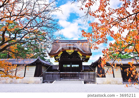 Shimun 3695211