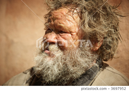 hobo 3697952